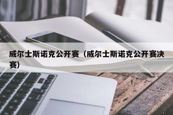 威尔士斯诺克公开赛（威尔士斯诺克公开赛决赛）