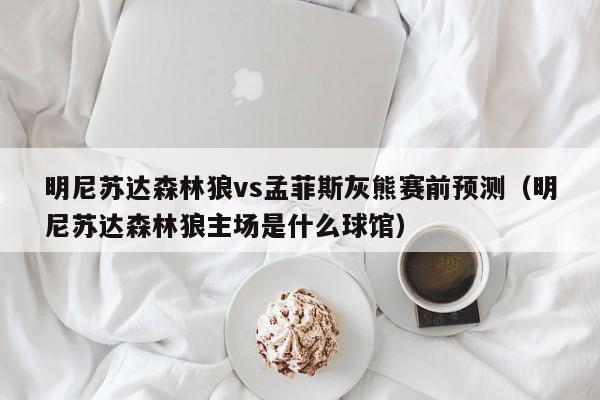 明尼苏达森林狼vs孟菲斯灰熊赛前预测（明尼苏达森林狼主场是什么球馆）